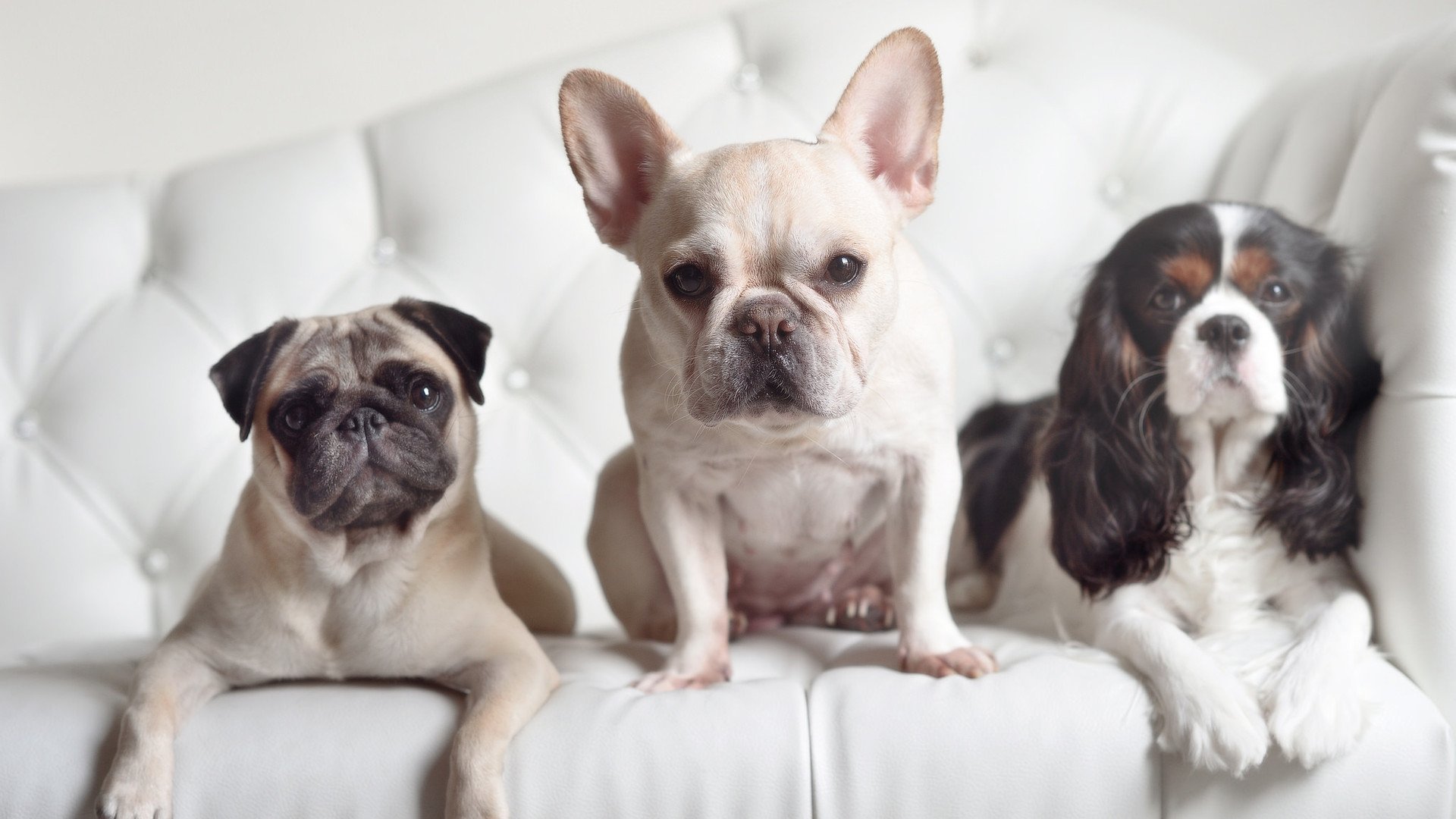 _运动员的日常生活:如何平衡训练与休闲_,运动员怎么锻炼身体