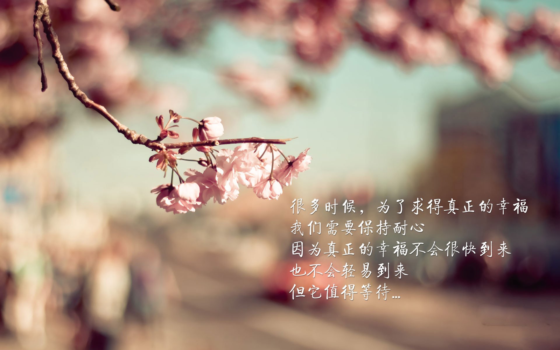 _运动员的日常生活:如何平衡训练与休闲_,运动员怎么锻炼身体