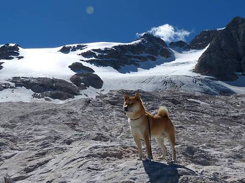 _运动员的注重细节:训练中的个人习惯揭秘_,运动员训练注意事项